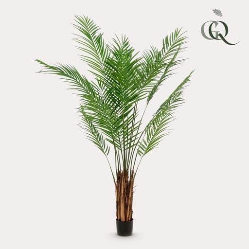 "Kunstpflanze - Areca Lutescens - Goldpalme - 180 cm image"