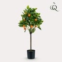 Kunstpflanze - Citrus Sinensis - Orangenbaum - 75 cm