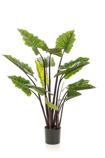 "Kunstpflanze - Colocasia Pink China - Elefantenohr - 130 cm image"