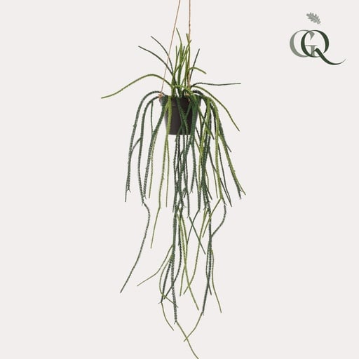 "Kunstpflanze - Rhipsalis - Korallenkaktus - 85 cm image"
