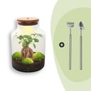 Flaschengarten - Milky mit bonsai - ↕ 30 cm - Rake + Shovel
