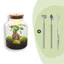 Flaschengarten - Milky mit bonsai - ↕ 30 cm - Rake + Shovel + Tweezer