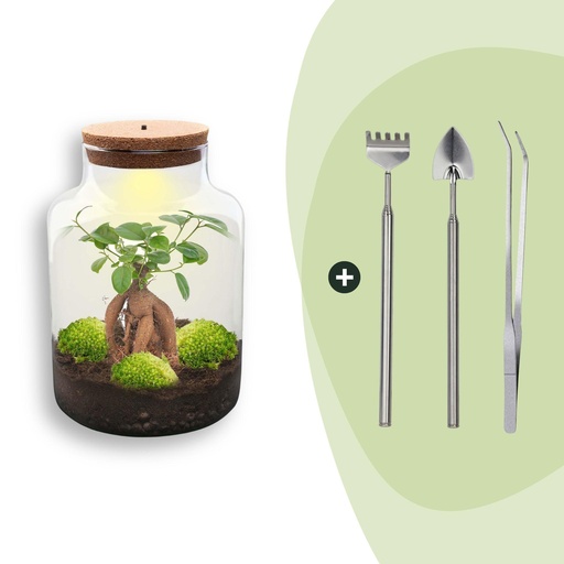 "Flaschengarten - Milky mit bonsai - ↕ 30 cm - Rake + Shovel + Tweezer image"
