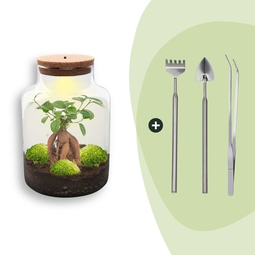 "Flaschengarten - Milky mit bonsai - ↕ 30 cm - Rake + Shovel + Tweezer image"