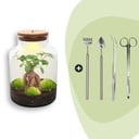 Flaschengarten - Milky mit bonsai - ↕ 30 cm - Rake + Shovel + Tweezer + Scissors