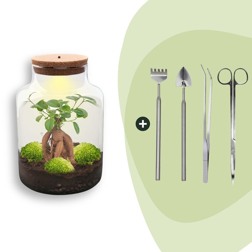 "Flaschengarten - Milky mit bonsai - ↕ 30 cm - Rake + Shovel + Tweezer + Scissors image"