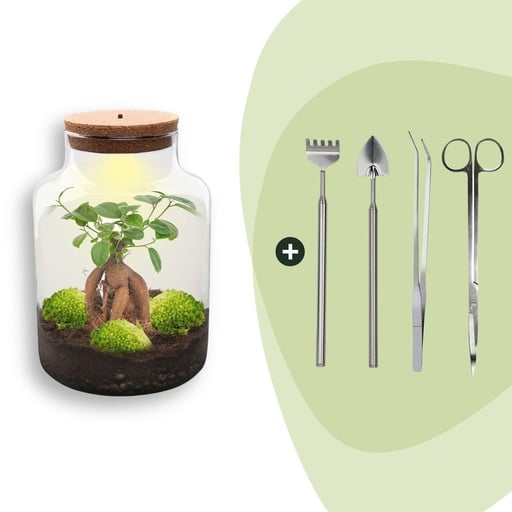 "Flaschengarten - Milky mit bonsai - ↕ 30 cm - Rake + Shovel + Tweezer + Scissors image"