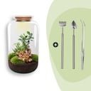 Flaschengarten - Sven Bonsai - ↕ 43 cm - Rake + Shovel + Tweezer