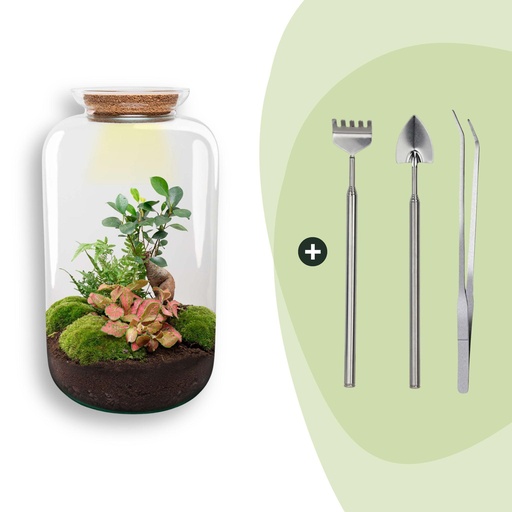 "Flaschengarten - Sven Bonsai - ↕ 43 cm - Rake + Shovel + Tweezer image"