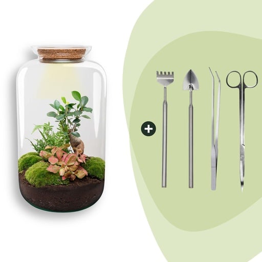 "Flaschengarten - Sven Bonsai - ↕ 43 cm - Rake + Shovel + Tweezer + Scissors image"