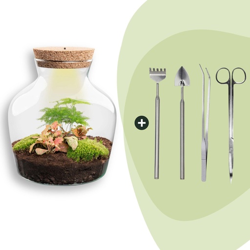 "Flaschengarten - Little Joe - ↕ 21,5 cm - Rake + Shovel + Tweezer + Scissors image"