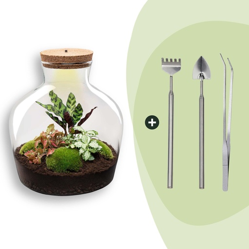 "Flaschengarten - Fat Joe Rot - Höhe ca. 30 cm - Rake + Shovel + Tweezer image"