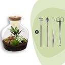 Flaschengarten - Fat Joe Rot - ↕ 30 cm - Rake + Shovel + Tweezer + Scissors