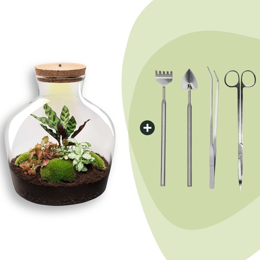 "Flaschengarten - Fat Joe Rot - ↕ 30 cm - Rake + Shovel + Tweezer + Scissors image"