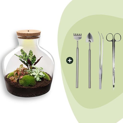 "Flaschengarten - Fat Joe Rot - ↕ 30 cm - Rake + Shovel + Tweezer + Scissors image"