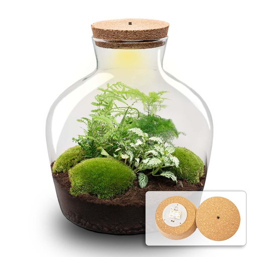 "Flaschengarten - Fat Joe grün - ↕ 30 cm - No tools image"