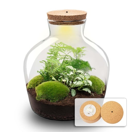 "Flaschengarten - Fat Joe grün - Höhe ca. 30 cm - No tools image"
