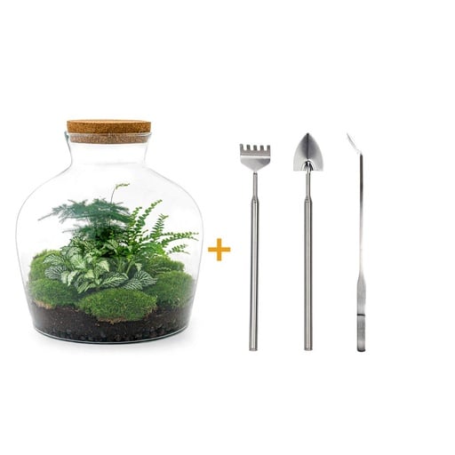 "Flaschengarten - Fat Joe grün - ↕ 30 cm - Rake + Shovel + Tweezer image"