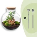 Flaschengarten - Bolder Bob Bonsai - ↕ 30 cm - Rake + Shovel
