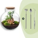 Flaschengarten - Bolder Bob Bonsai - ↕ 30 cm - Rake + Shovel + Tweezer