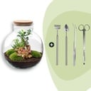 Flaschengarten - Bolder Bob Bonsai - ↕ 30 cm - Rake + Shovel + Tweezer + Scissors