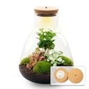 Flaschengarten - Sam mit Lampe - ↕ 30 cm - Normal
