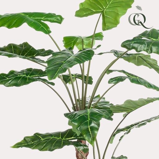 "Kunstpflanze - Alocasia - 180 cm image"