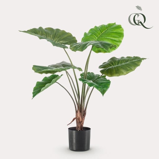 "Kunstpflanze - Alocasia - 70 cm image"