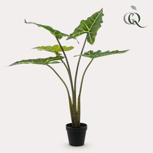 "Kunstpflanze - Alocasia Frydek - 80 cm image"