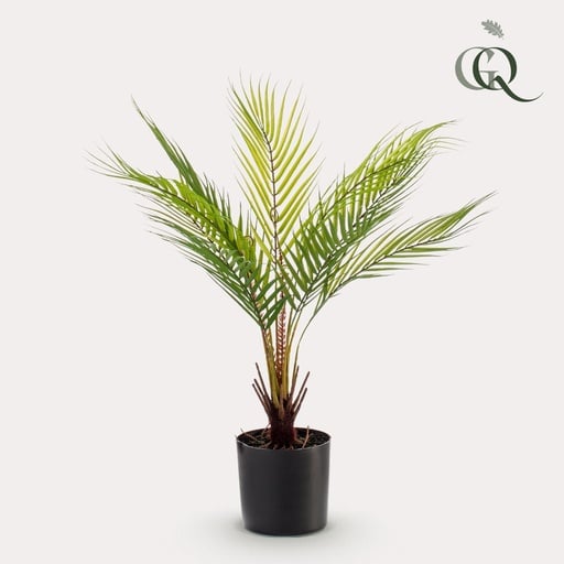 "Kunstpflanze - Chamaedorea Elegans - Bergpalme - 50 cm image"