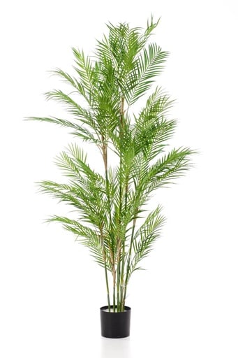 "Kunstpflanze - Chamaedorea Elegans - Bergpalme - 180 cm image"
