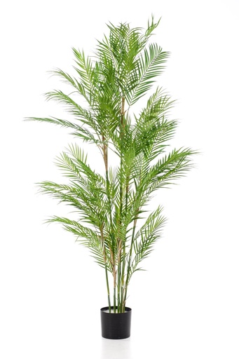 "Kunstpflanze - Chamaedorea Elegans - Bergpalme - 180 cm image"