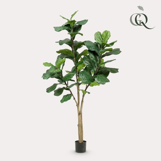 "Kunstpflanze - Ficus Lyrata - Tabakspflanze - 180 cm image"