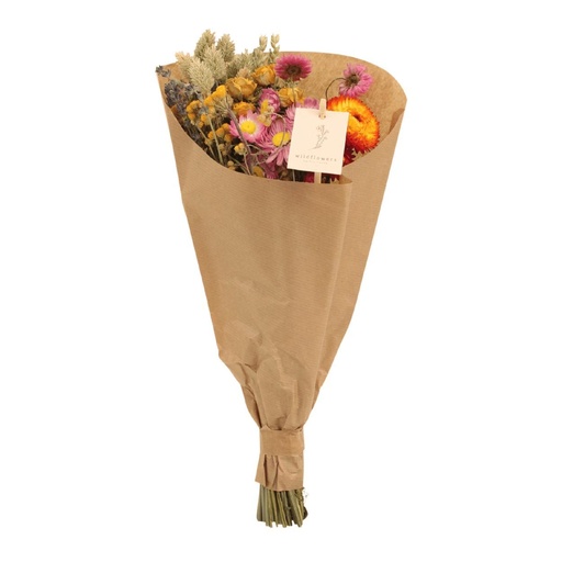 "12x Field Bouquet Multi - Droogboeket - 35cm - Ø15 image"