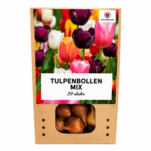 Tulpenzwiebeln Mix