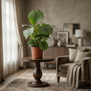 Plante d'intérieur - Plante Paon - Calathea Orbifolia - Vert - Entretien facile - 1 Plante - Pot 21cm - Hauteur 60 - 70cm