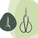 Bonsai shears L - 19 cm - Bonsai tool
