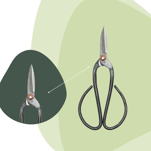 "Bonsai shears L - 19 cm - Bonsai tool image"