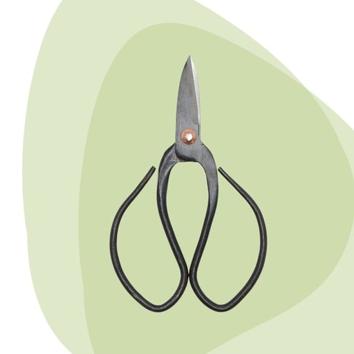 "Bonsai shears S - 12 cm - Bonsai tool image"