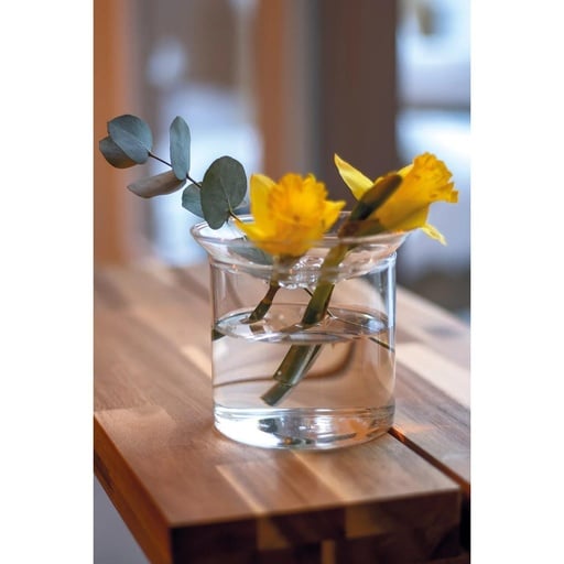 "Propagation vase L - Ø 12 cm ↕ 10,8 cm image"