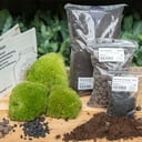 Pflanzen-Terrarium Nachfüll- & Startpaket - Größe L/XL