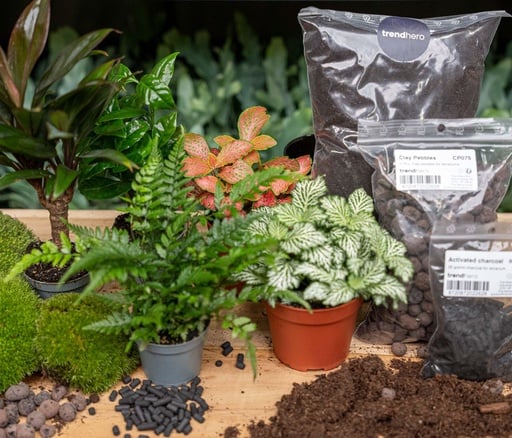 "Pflanzen-Terrarium Nachfüll- & Startpaket - Dschungel image"