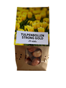 Tulpenzwiebeln Strong Gold – 20 Stück | KH Bloembollen® | Gelbe Tulpe – Strahlend & Kräftig – Für Garten oder Topf – Größe 11/12 – Frisch vom Züchter
