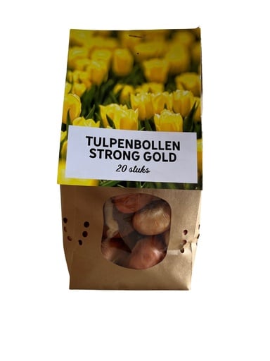 "Tulpe 'Strong Gold' (Tulipa) – Blumenzwiebeln, 20 Zwiebeln image"