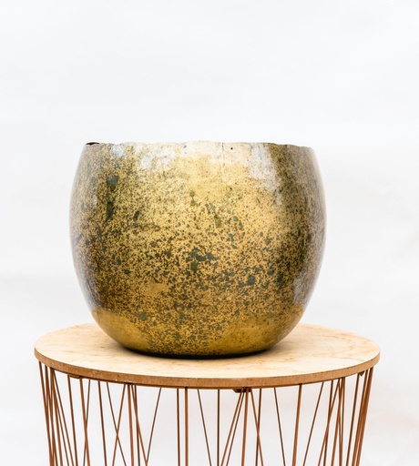 "Ellen Brass - 30x25 image"
