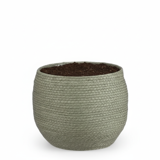 "Mand Jorck groen D26 image"