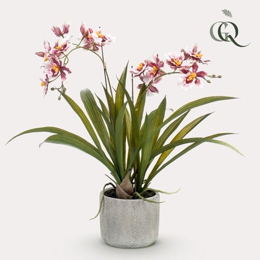 "Kunstplant - Orchidee - Bordeaux - 45cm image"