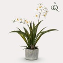 Kunstpflanze - Orchidee - Weiß - 45cm