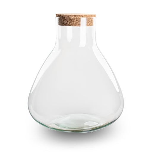 "Bottle Garden - Terrarium -  Model: Sammie - ↑ 26,5 cm image"