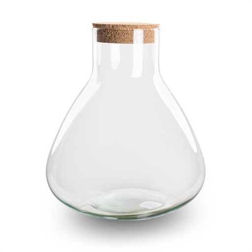 "Bottle Garden - Terrarium -  Model: Sammie - ↑ 26,5 cm image"